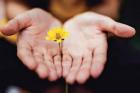 10 Questions to Test Your Consciousness 10 Questions to Test Your Consciousness